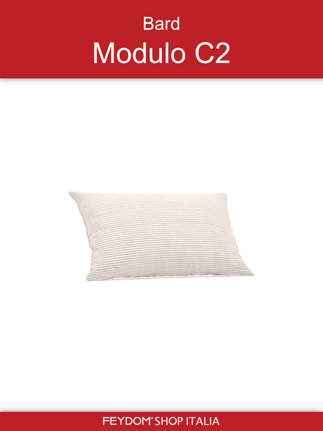 Bard Modulo C2