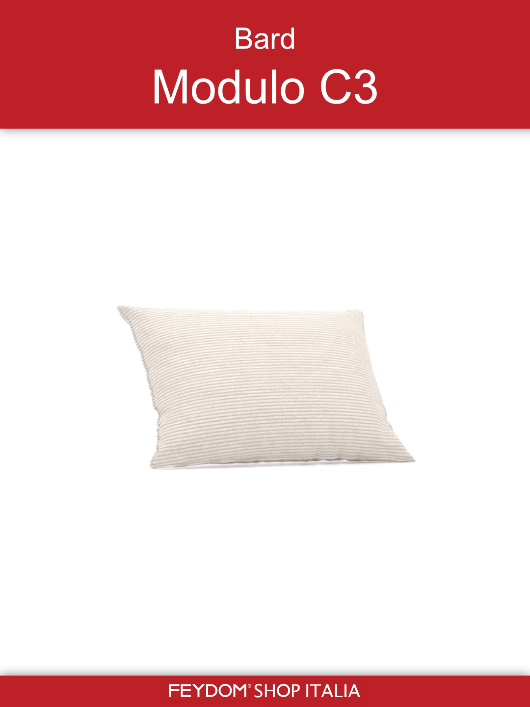 Bard Modulo C3