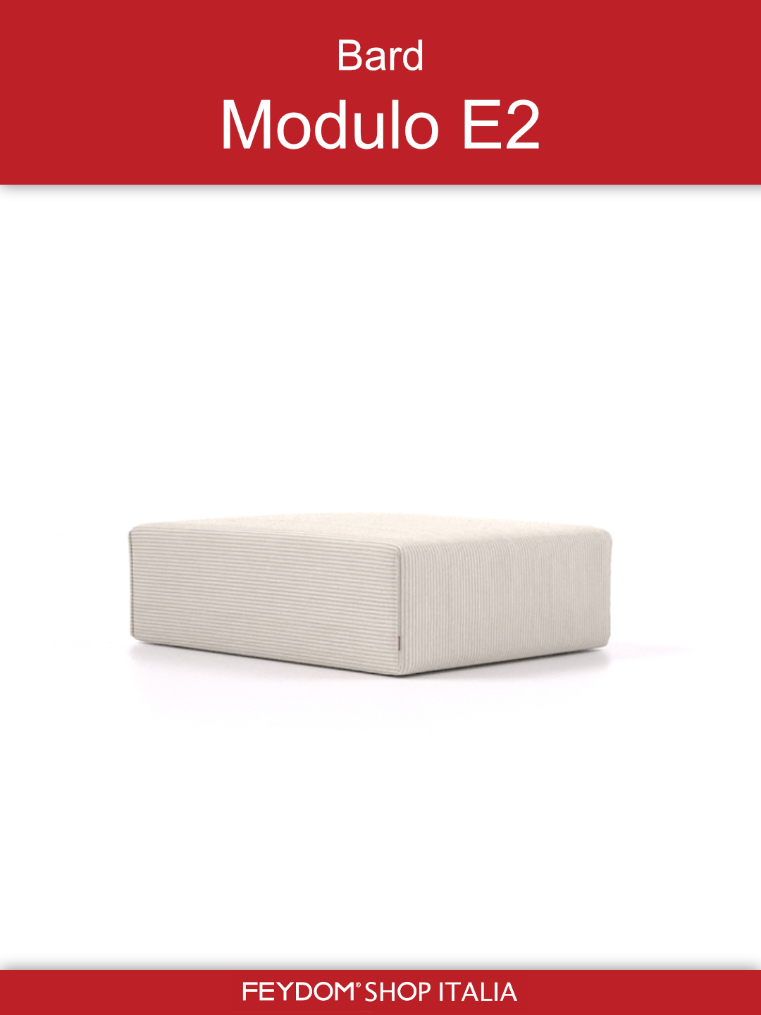 Bard Modulo E2