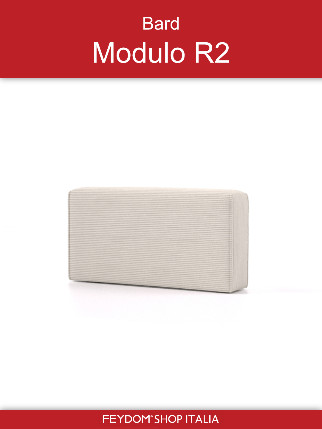 Bard Modulo R2