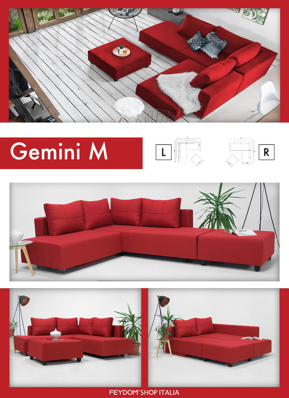 Gemini M
